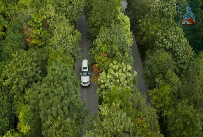 73376384 - صورة العقار 2