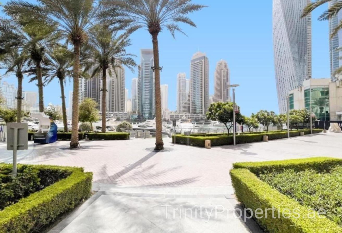 Large Layout | Unfurnished | Prime Location photo 8