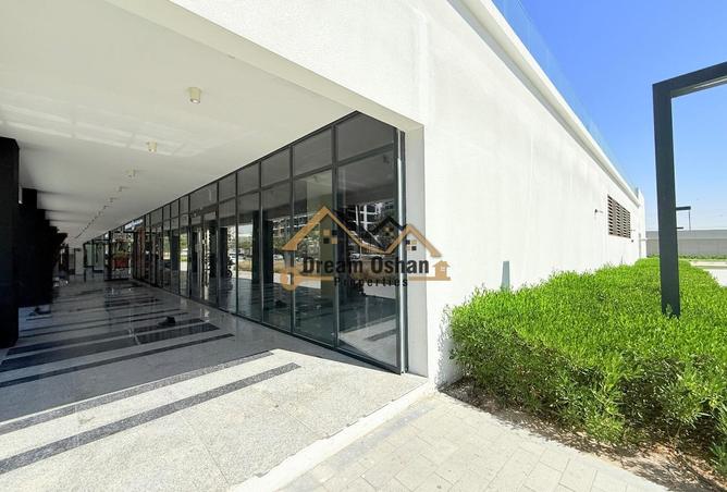 16147808 - Property Image 3