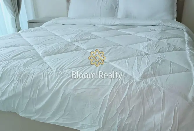 157351185 - Property Image 3