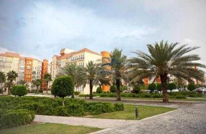 Apartment - Studio - 1 for sale in Building 49 - Mediterranean Cluster - Discovery Gardens - Dubai