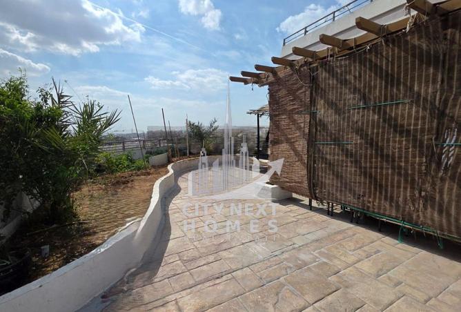 16203886 - صورة العقار 3