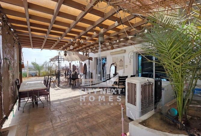 16203886 - صورة العقار 2