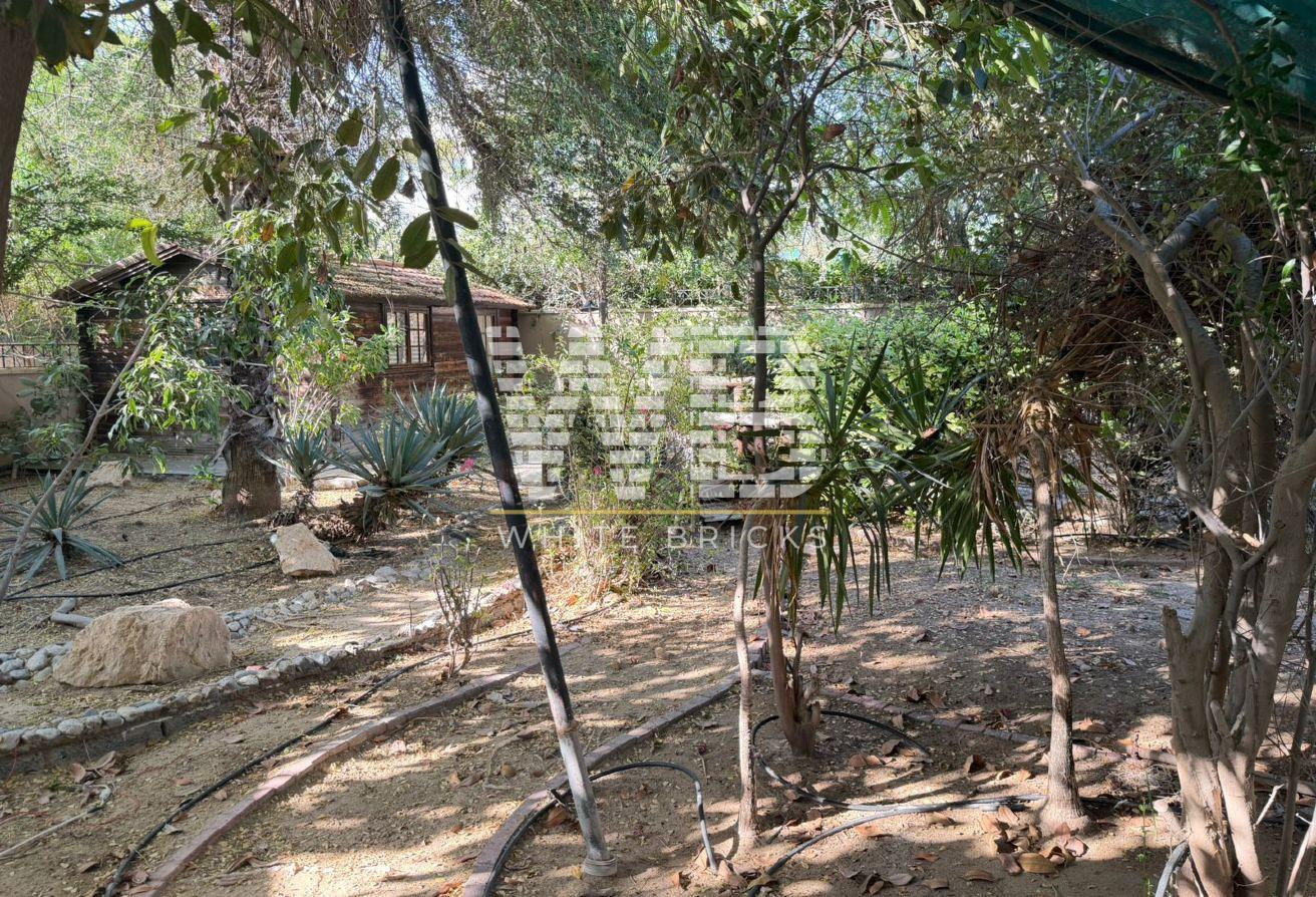 Huge Plot | Fully Extended & Upgraded photo 23