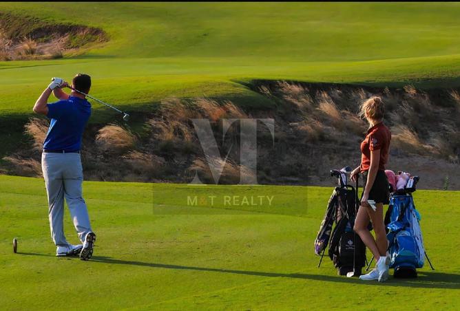 16083565 - صورة العقار 3