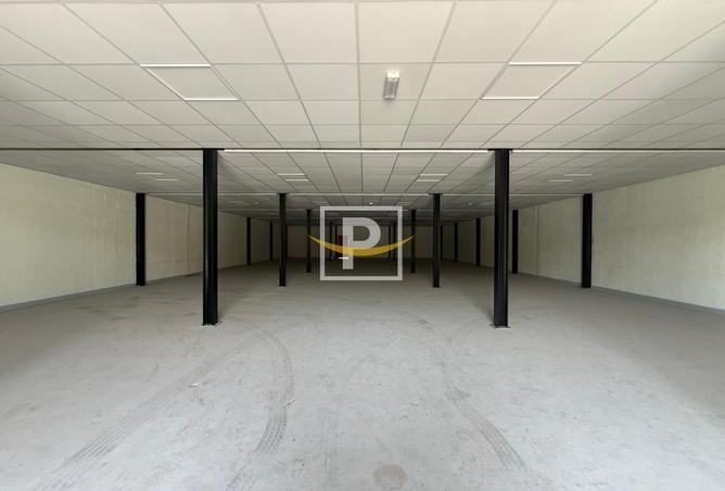 132972401 - Property Image 3