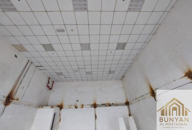 16241238 - Property Image 3