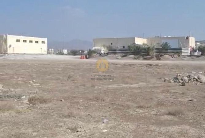 73128382 - Property Image 3