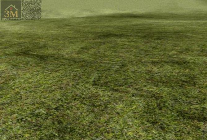 77363142 - الصورة الرئيسية للعقار