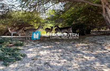 Land - Studio for sale in Al Jurf Gardens Phase 1.1 - Al Jurf Gardens - AlJurf - Ghantoot - Abu Dhabi