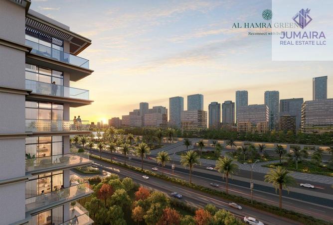 16163383 - Property Image 3