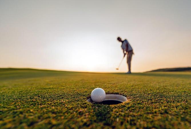 75999875 - Property Image 2