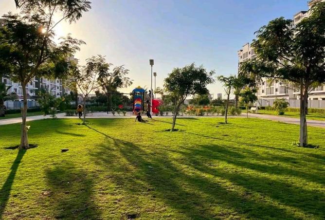 58974308 - Property Image 3