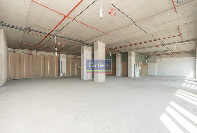 16043754 - Property Image 3