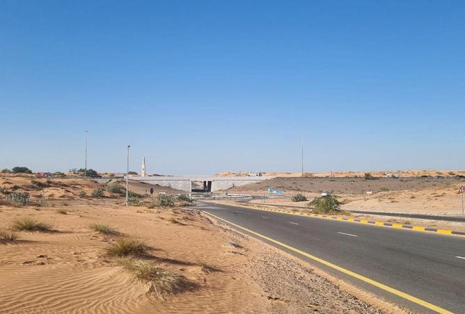 53595851 - Property Image 3