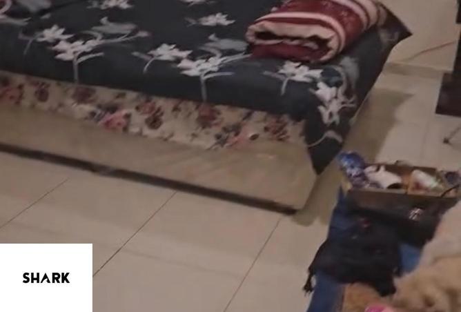 63669543 - Property Image 3