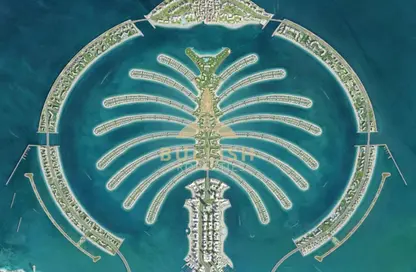 أرض - استوديو للبيع في نخلة جبل علي - السعفة P - نخلة جبل علي - دبي