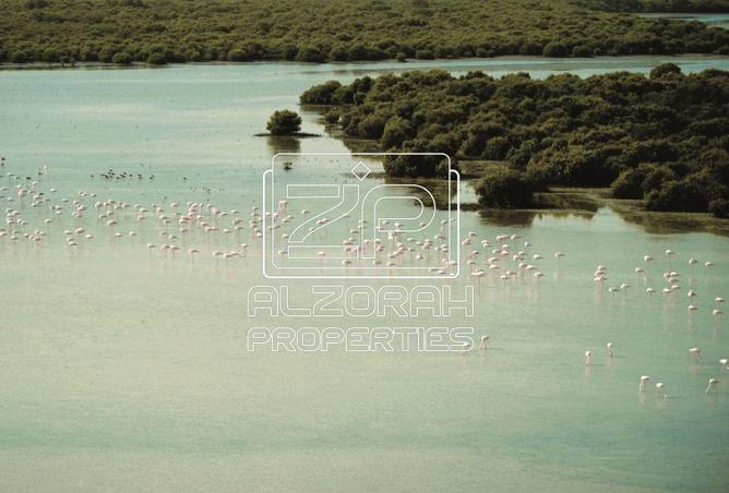 16019353 - صورة العقار 3