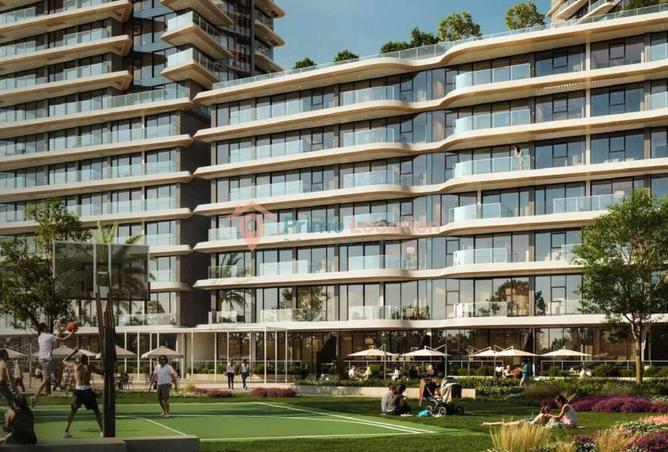 16312534 - Property Image 3