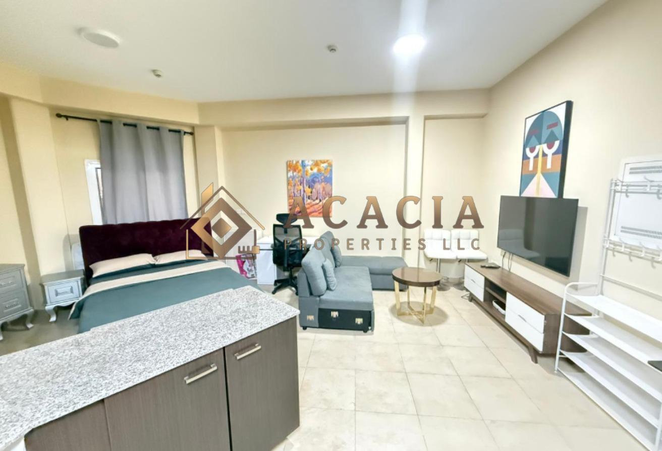 Fully Furnished I V-Shape Studio I 12 Cheques photo 6