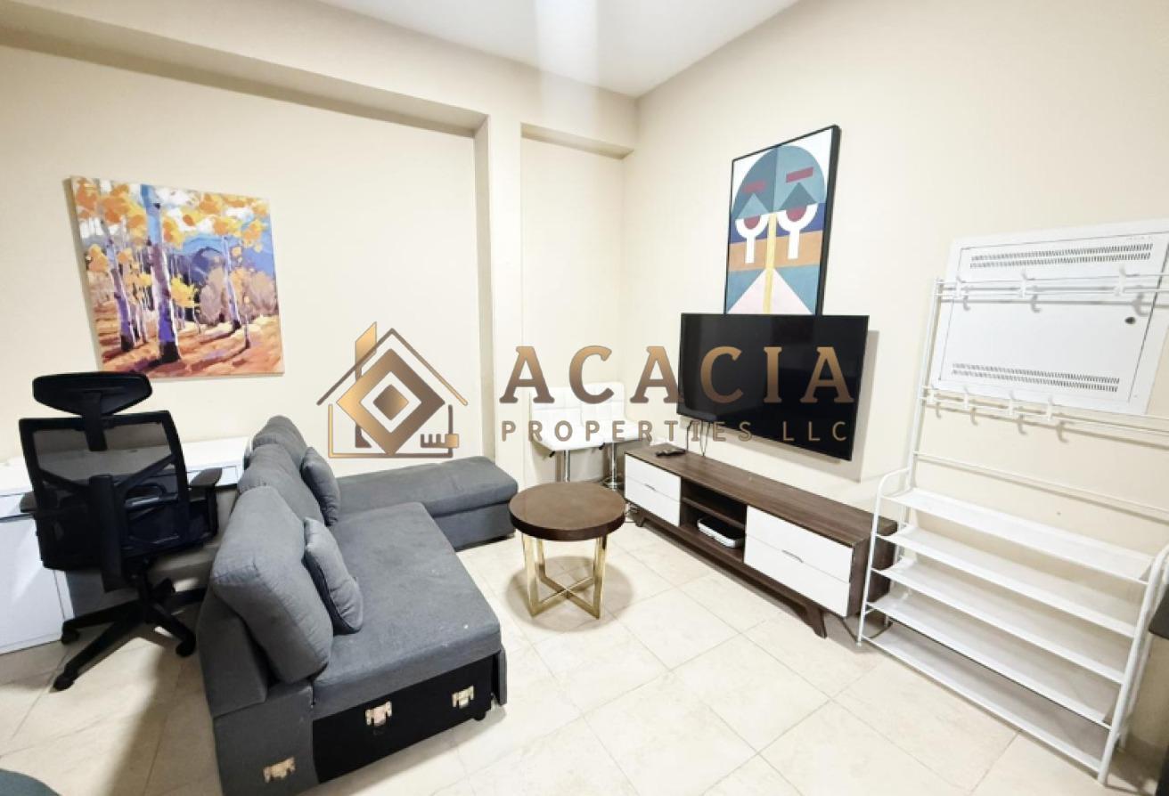 Fully Furnished I V-Shape Studio I 12 Cheques photo 5