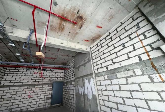 56127842 - Property Image 3