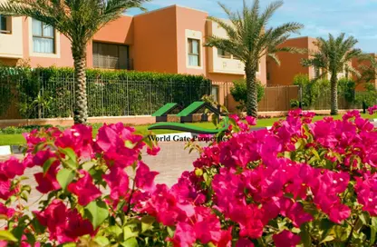 Villa - 4 Bedrooms - 5 Bathrooms for rent in Mangrove Village - Rabdan - Abu Dhabi