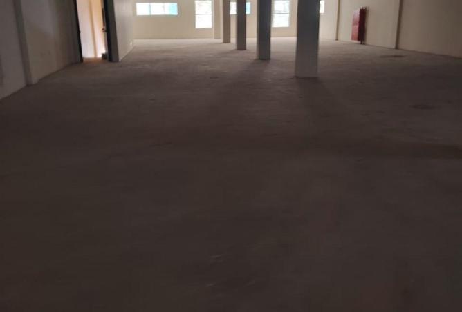 16208541 - Property Image 3