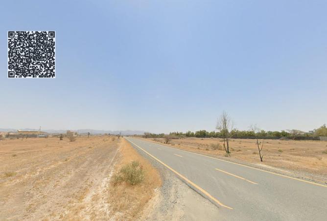 16130575 - Property Image 3