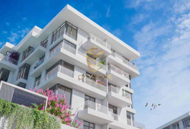 53985769 - Property Image 3