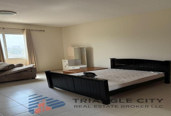 16173455 - Property Image 3