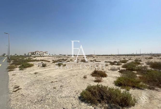 16247464 - Property Image 3