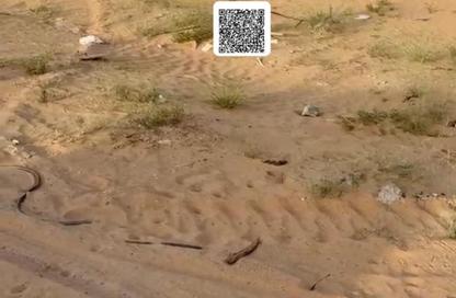 Land - Studio for sale in Ajman Global City - Al Alia - Ajman