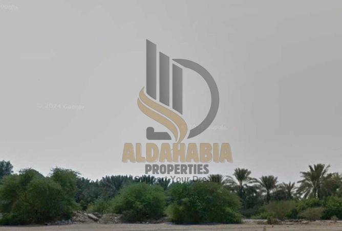 16136838 - Property Image 3