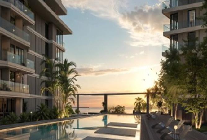 15994156 - Property Image 3