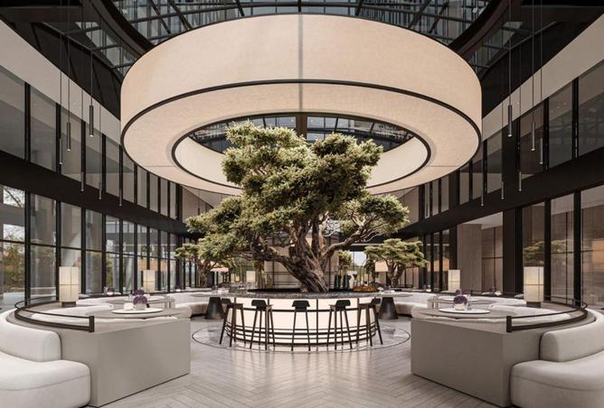 63258288 - Property Image 3