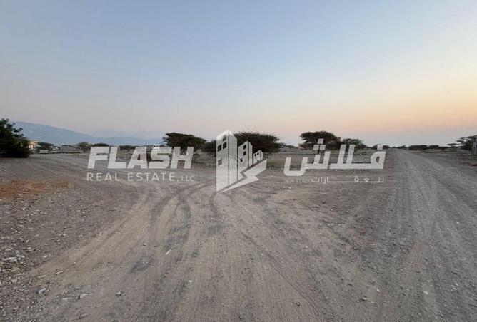 16043136 - Property Image 3