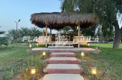 Farm - Studio for rent in Mudfak - Ras Al Khaimah