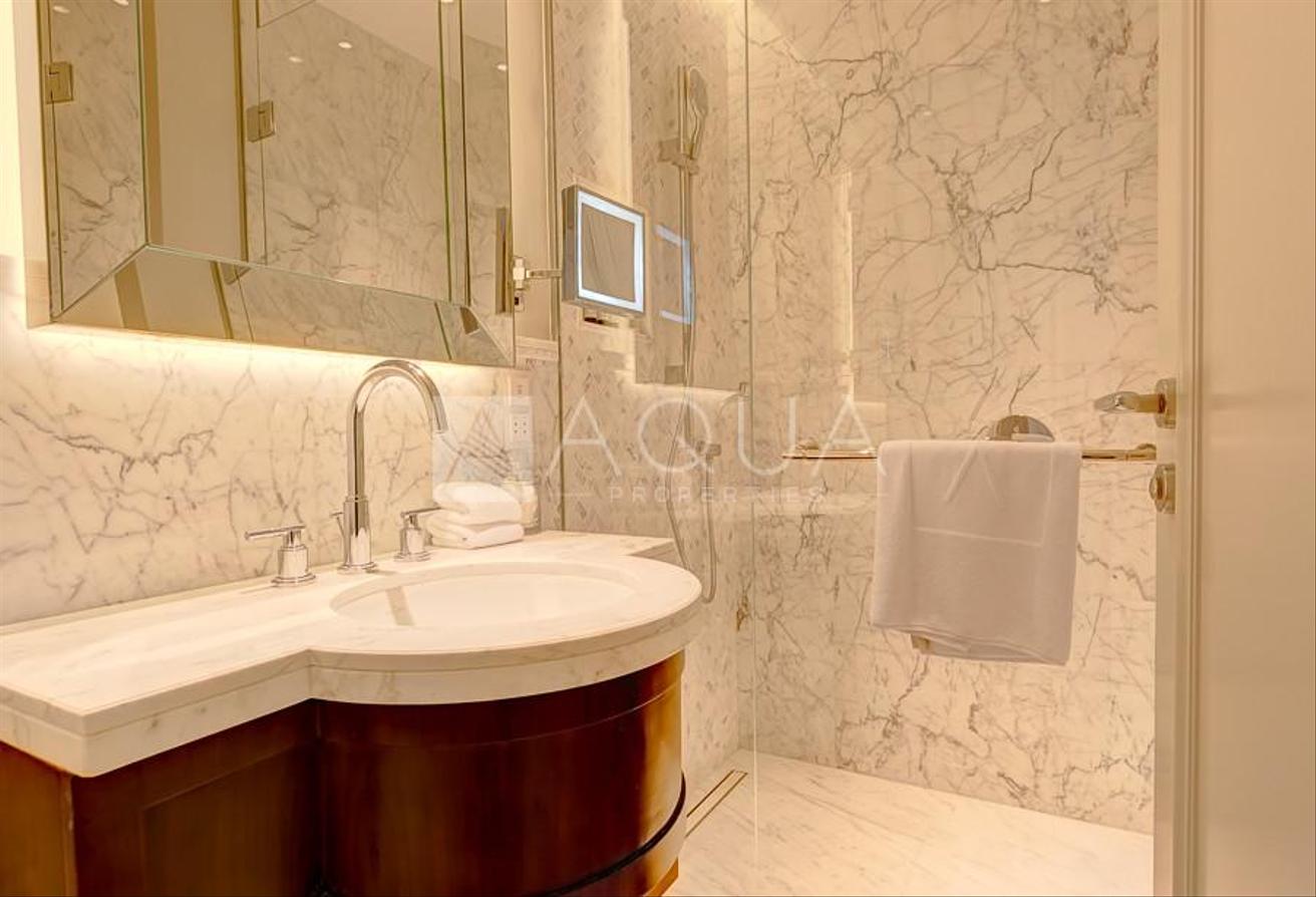 Fully Furnished | Zaaebeel Views | Vacant photo 11