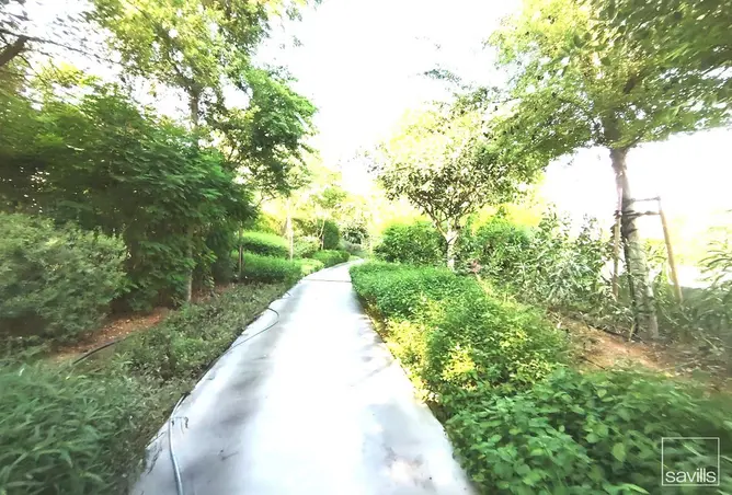 123821305 - Property Image 3