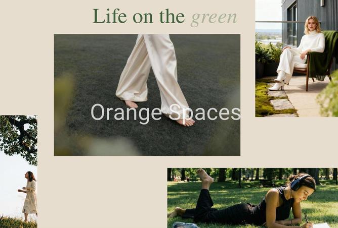 71113402 - صورة العقار 3