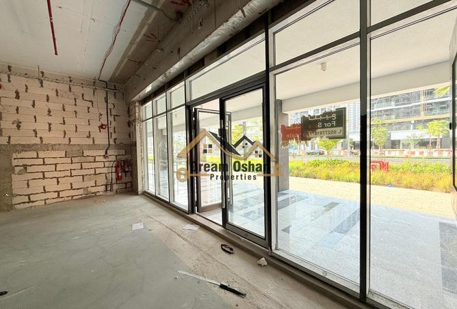 55371505 - Property Image 3