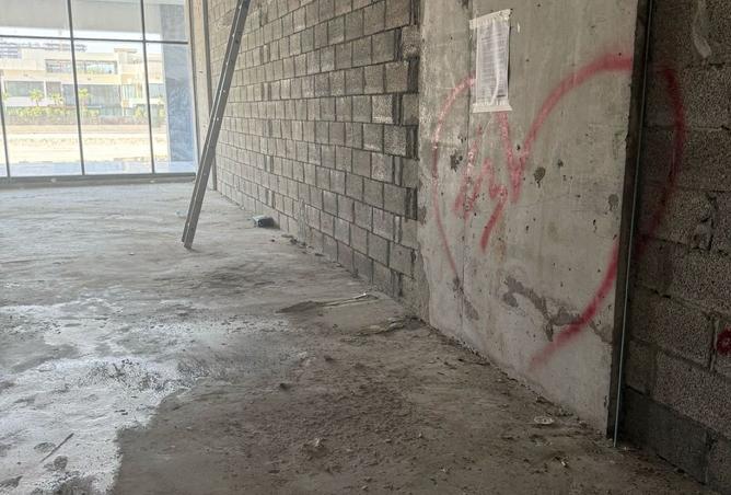 141461511 - Property Image 3