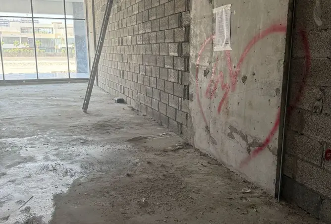 141461511 - Property Image 3