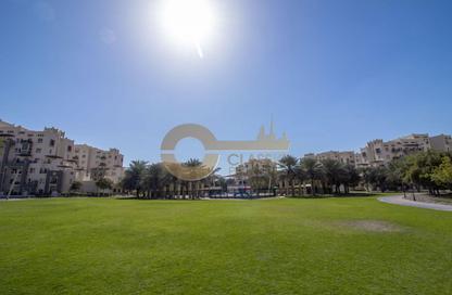 Apartment - 2 - 3 for sale in Al Thamam 14 - Al Thamam - Remraam - Dubai