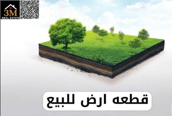 16306647 - Property Image 3