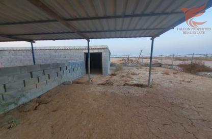 Farm - Studio for rent in Ghalilah - Ras Al Khaimah