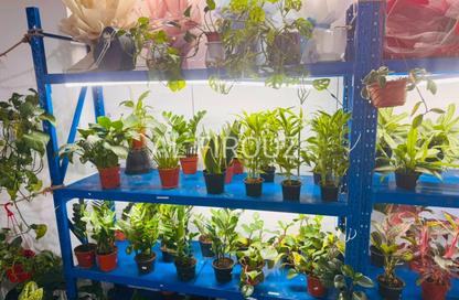 Shop - Studio for rent in Al Souk Al Kabeer - Bur Dubai - Dubai