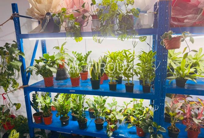 130215677 - Property Image 2