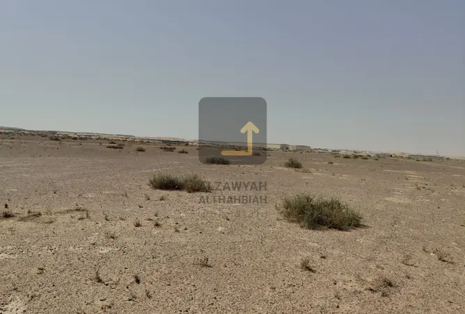 16288179 - Property Image 3